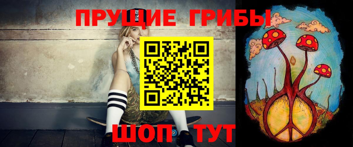 Галлюциногенные грибы GOLDEN TEACHER  Вход с VPN  Фрязино 