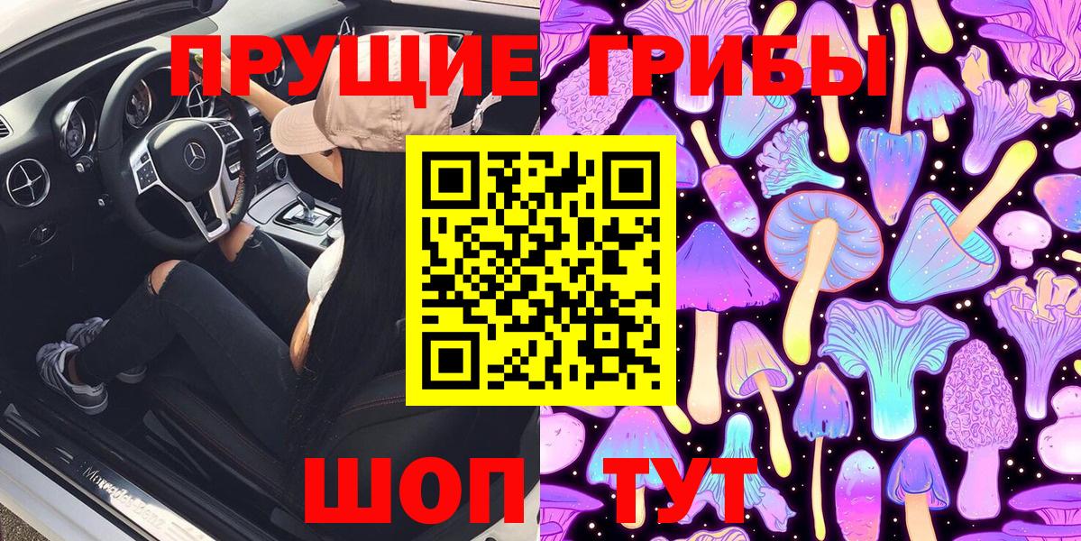 Псилоцибиновые грибы Psilocybine cubensis Фрязино
